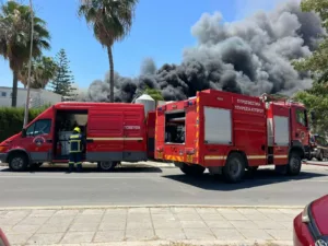 Three firefighters hospitalised after frozen food factory fire in Aradippou