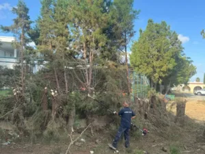 Paphos municipality begins cleanup and safety works in Anavargos area