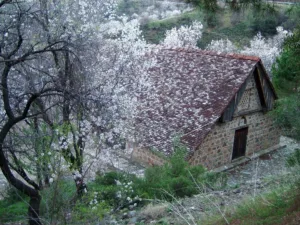 Χωριό Πλατανιστάσα