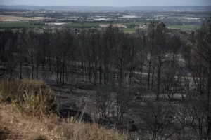 Wildfires spread across southern France as strong winds hamper firefighting efforts