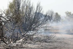 Forestry Department issues red alert forest fire warning for Thursday