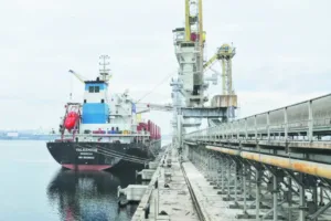 Ukraine and Russia escalate Black Sea attacks as grain shipping faces disruption
