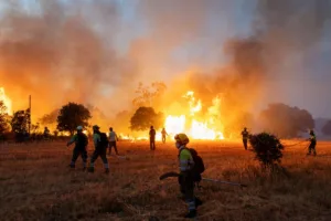 Wildfires hit France, Spain and Greece as heat and winds intensify
