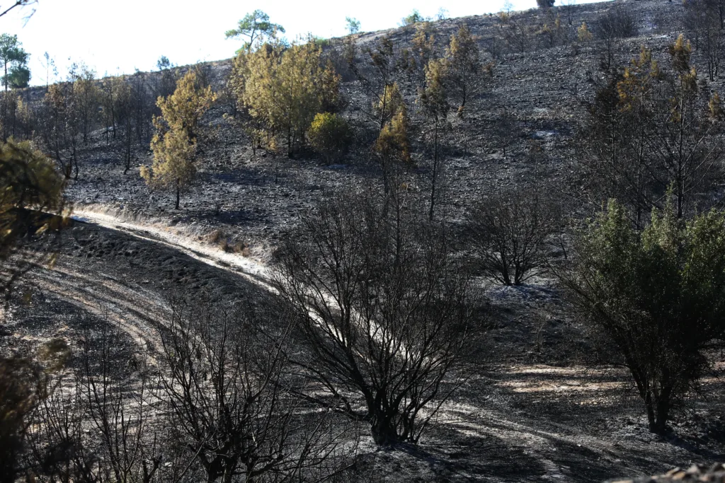 Police complete investigation into Kalo Chorio wildfire