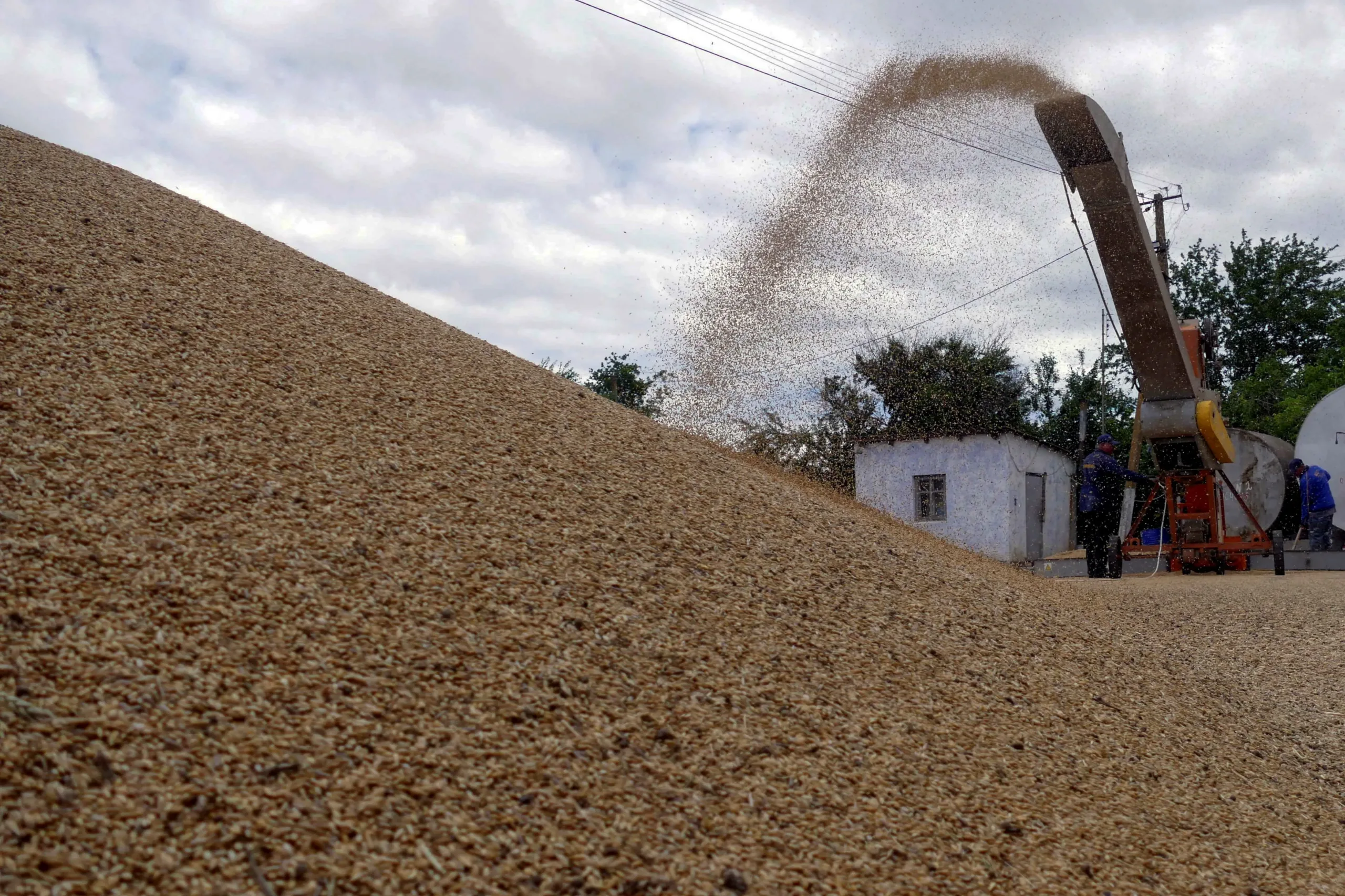 Cyprus barley yield forecast to rise 30% above five-year average