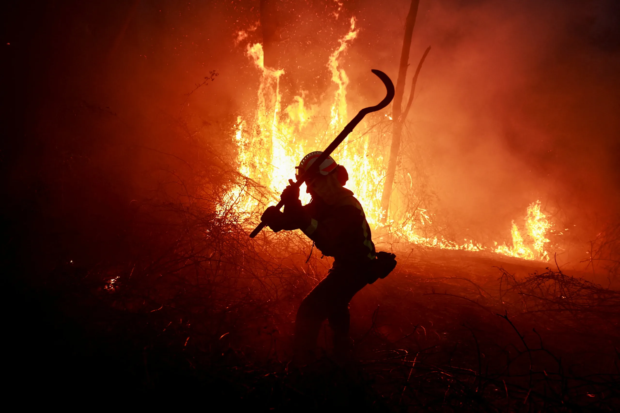 Forest fire risk set at red alert for Sunday