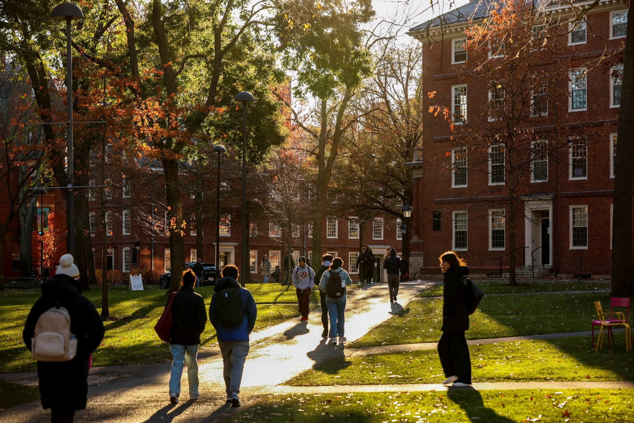 Harvard agrees to $53m settlement over stolen body parts from donated cadavers