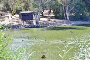 Ο κίνδυνος δασικών πυρκαγιών αυξήθηκε σε κόκκινο συναγερμό για την Κοίμηση της Θεοτόκου