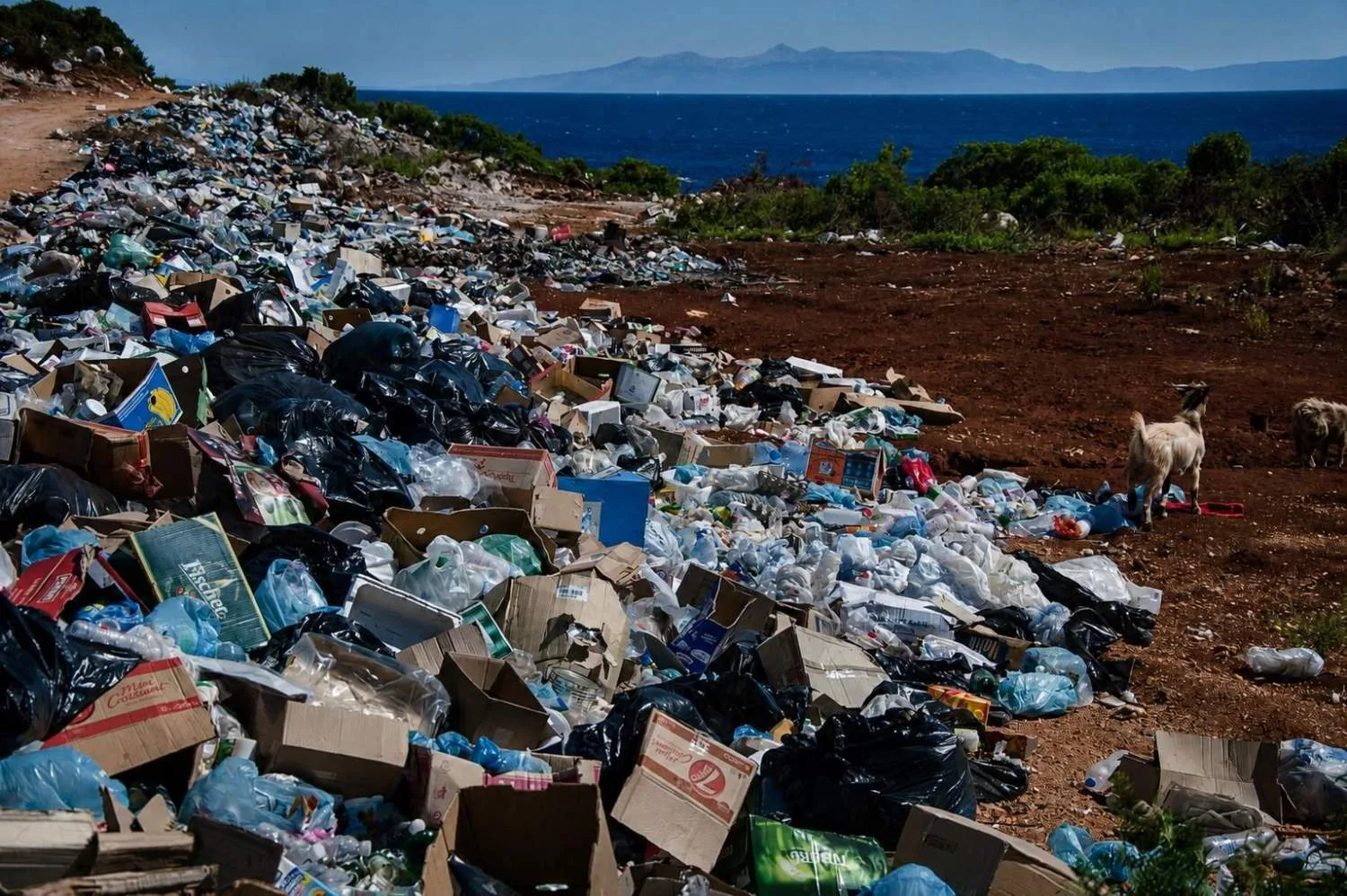 Municipalities warn Cyprus is unprepared for 2027 Pay As You Throw rollout