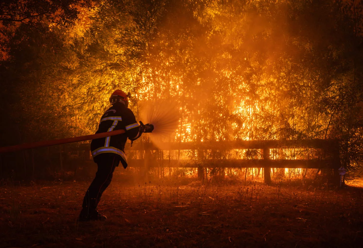 Europe’s heatwave fuels wildfires, evacuations and thousands of deaths