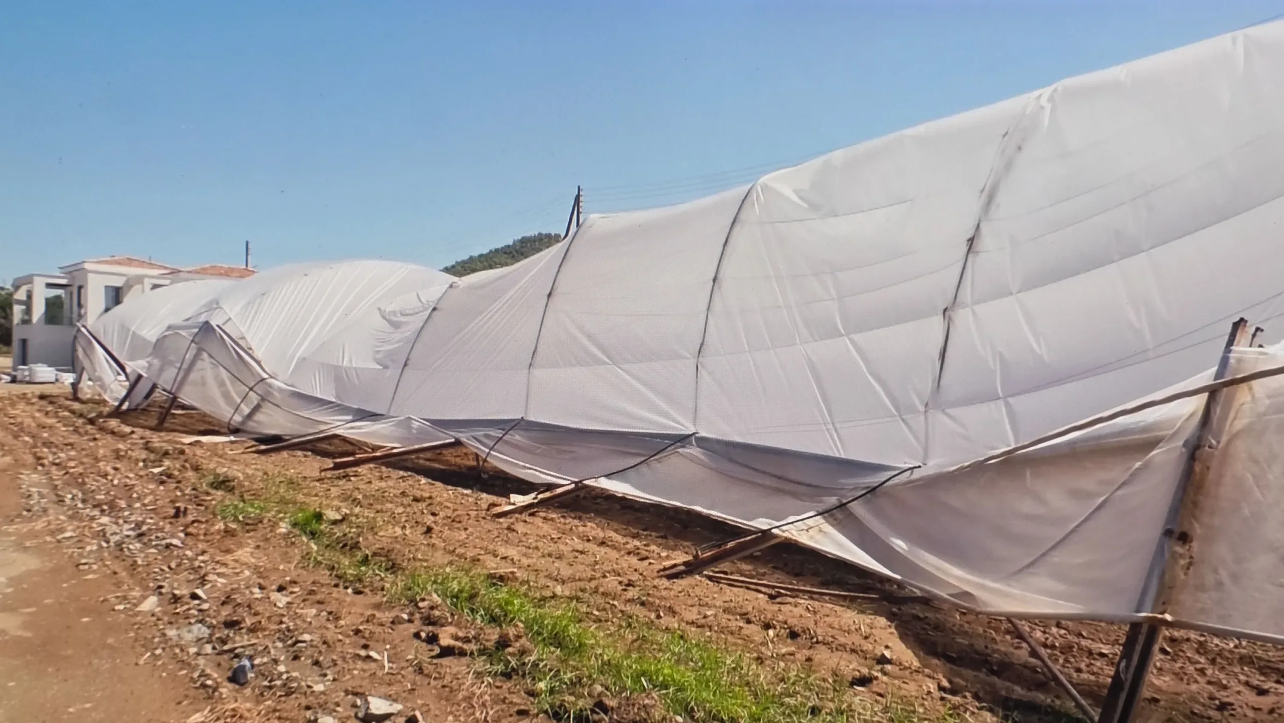 Inspectors assess storm damage to crops in Paphos district