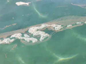 Λουόμενοι στη Λεμεσό αναφέρουν λάσπη, απόβλητα και δυσοσμία στη θάλασσα