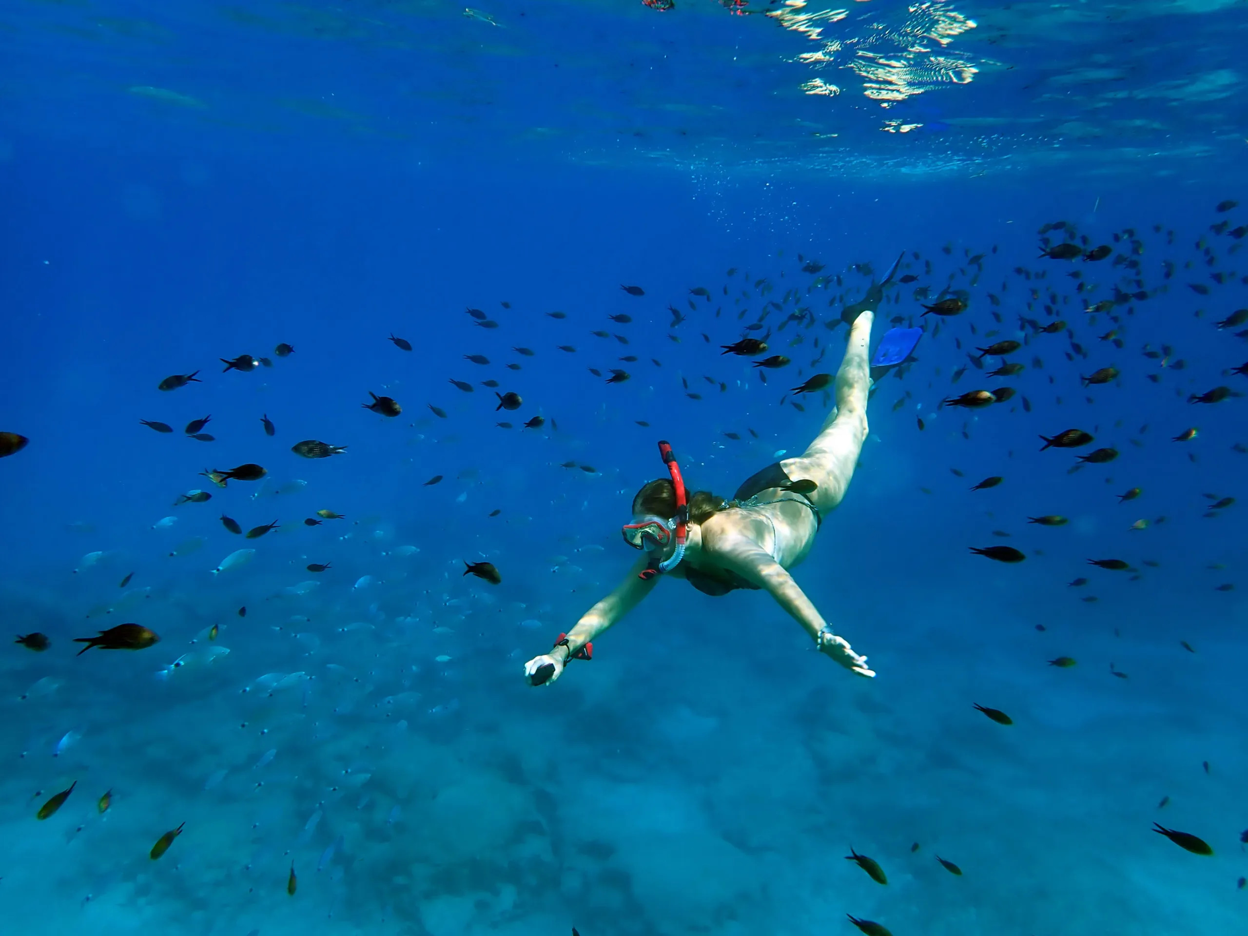 Sirens’ Call women’s charity swim returns to Paralimni