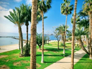 Paphos hotel occupancy expected to reach 85-90% in August