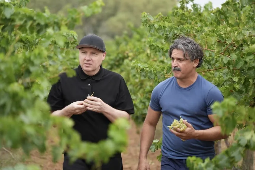 Cypriot Xynisteri grape tested in Australia for heat and water resilience