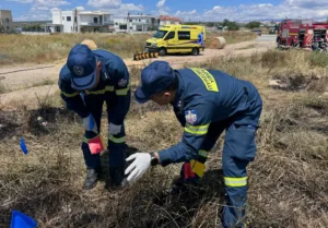 Cyprus ranks eighth in EU for firefighters’ share of workforce