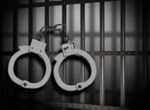 Σύλληψη γυναίκας μετά τον εντοπισμό ζωικών προϊόντων στο οδόφραγμα Δερύνειας