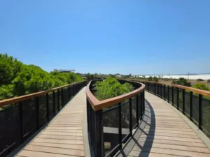 Ολοκληρώθηκε η ανάπλαση του Pattichion Park και παραδόθηκε στον Δήμο Λάρνακας
