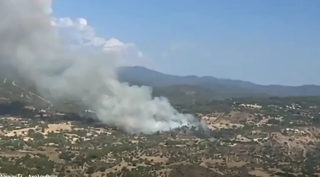Επαναλαμβανόμενες πυρκαγιές στην Πάφο εγείρουν ανησυχίες για εμπρησμό