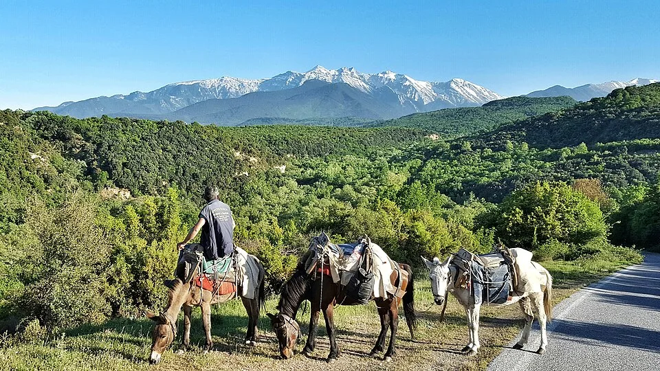 Cypriot mountaineers to climb Mount Olympus for children with cancer