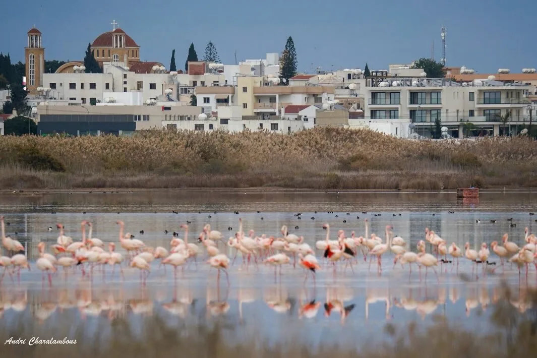 Paralimni centre redevelopment secures planning permission