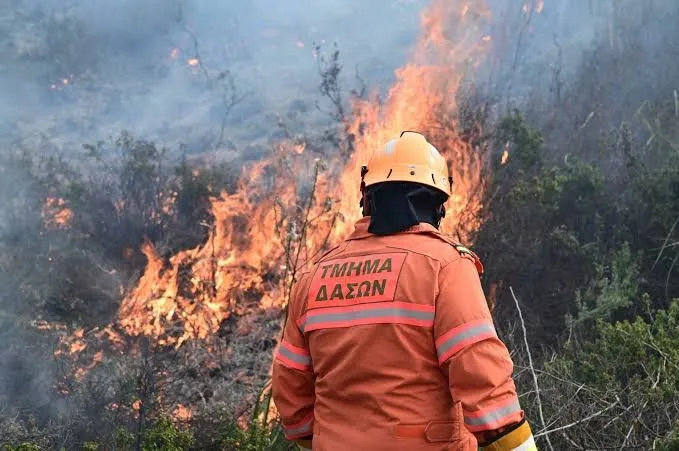 Firefighting forces respond to blaze near Achna forest