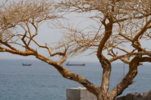 Strait of Hormuz Shipping Traffic Falls Amid US-Iran Peace Deal Uncertainty
