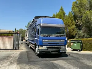 Κτηνοτρόφοι μπλοκάρουν τις κτηνιατρικές υπηρεσίες στη Λευκωσία για απλήρωτες αποζημιώσεις