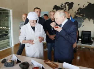 Визит Путина на спорный остров вызвал осуждение Японии