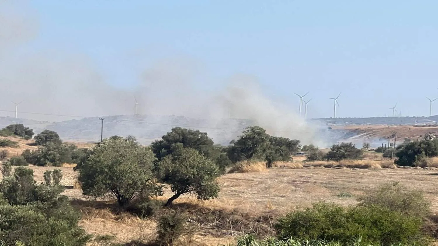 Unexploded mortar shell found during Agia Anna forest fire operation