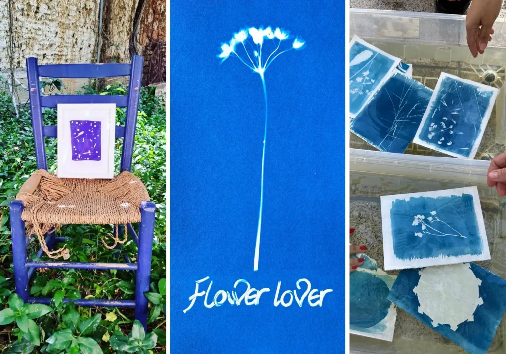 Free cyanotype workshops to explore nature in Pedoulas and Ayios Theodoros Pitsilias