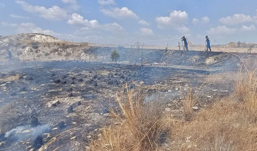 Пожар растительности ликвидирован возле кольцевой развязки Ризоэлия