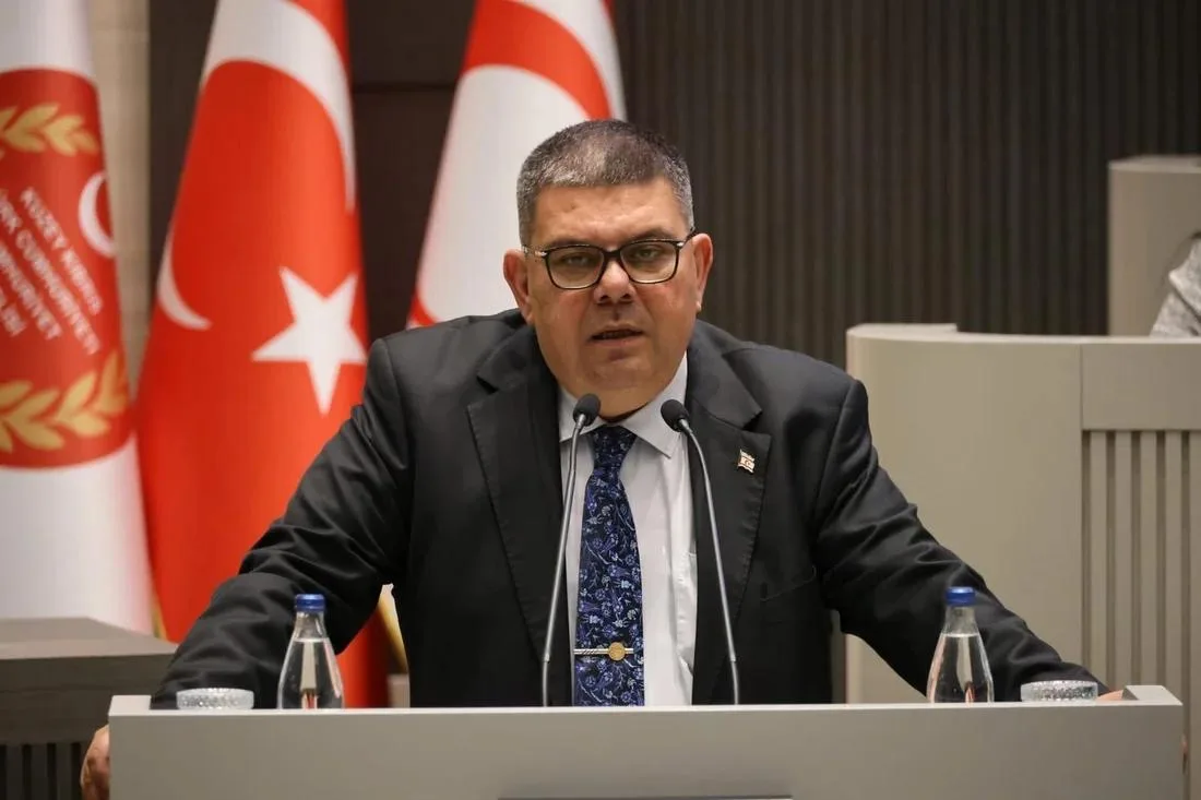 Berova named acting transport minister after Arikli’s dismissal