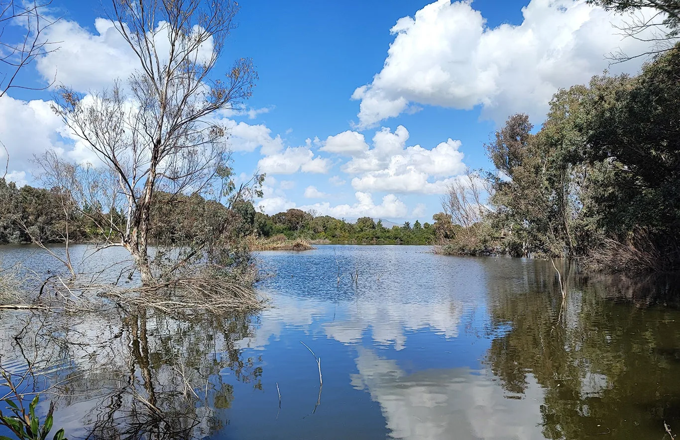Forestry department launches app for Athalassa and Academia forest parks