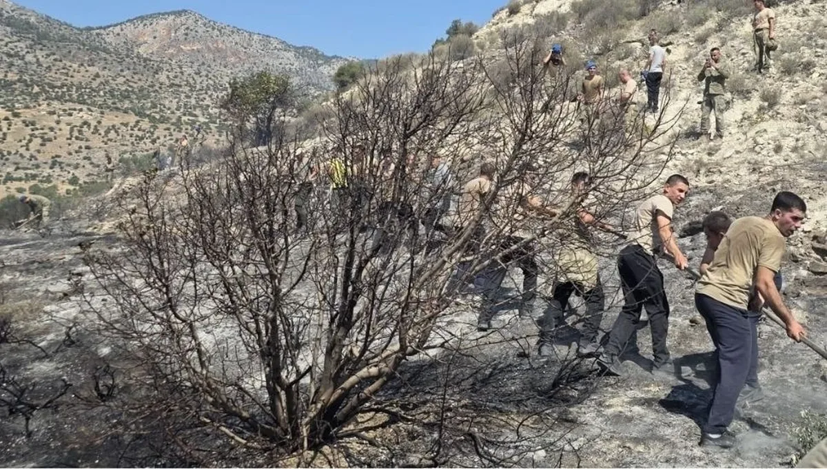 Άνδρας συνελήφθη μετά από φωτιά σε κήπο που έκαψε 25 στρέμματα στην κατεχόμενη Κυθρέα