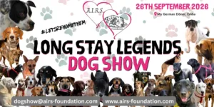 Το Long Stay Legends Dog Show 2026 προωθεί τις υιοθεσίες σκύλων καταφυγίων στην Πάφο