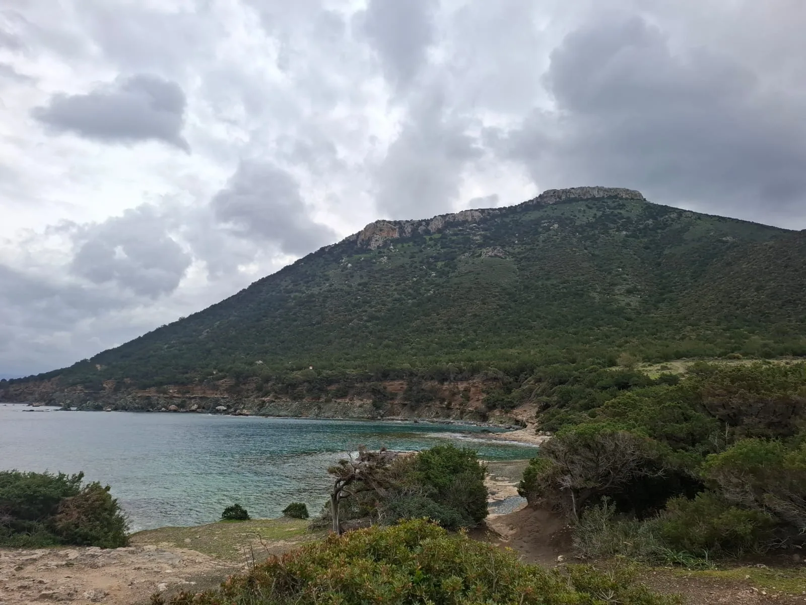 Forestry Department launches €3m tender for Akamas visitor infrastructure