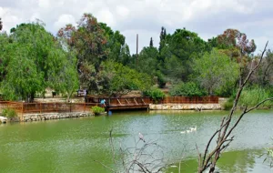 Επιβεβαιώθηκε δεύτερο κρούσμα γρίπης των πτηνών στο πάρκο Αθαλάσσας στη Λευκωσία