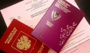Information on dual citizenship: rules for submitting applications
