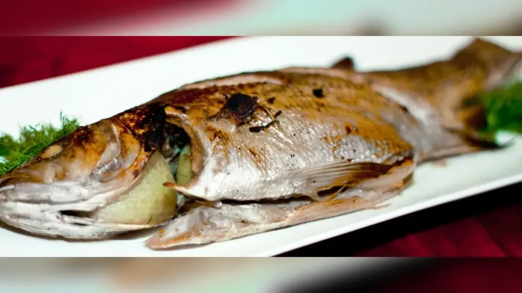 Grilled Wolfish