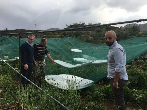 Η βιολογική γεωργία στην Κύπρο υπερβαίνει τον στόχο χρήσης γης για το 2027