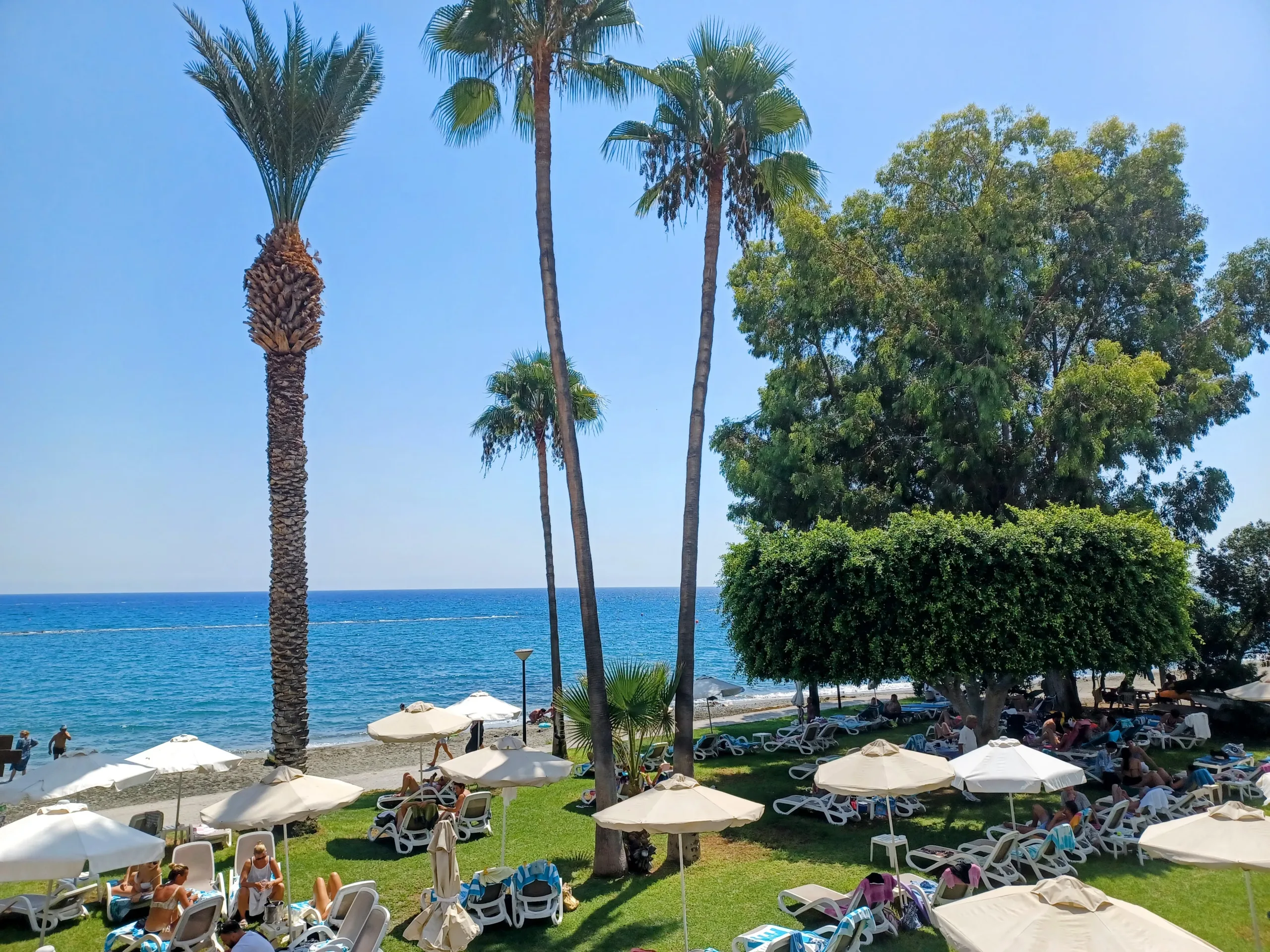 Cyprus business developments include inflation outlook, AI strategy and Treasury platform use