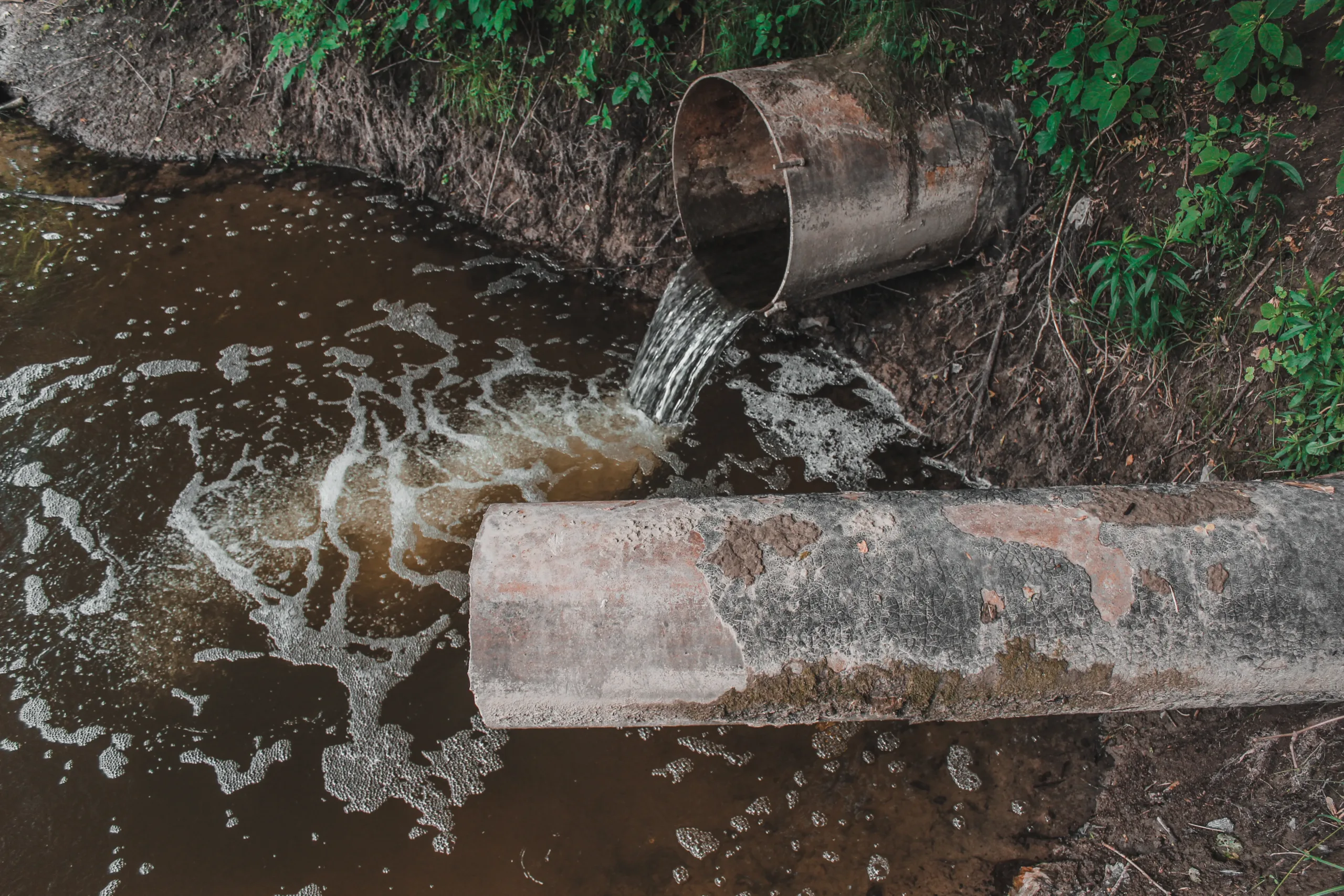 MPs seek answers over reported pollution in Limassol sea