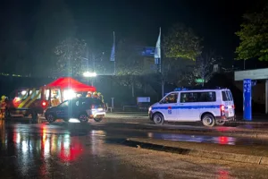 Полиция Германии задержала подозреваемого после пожара в исторической резиденции «Орлиное гнездо»