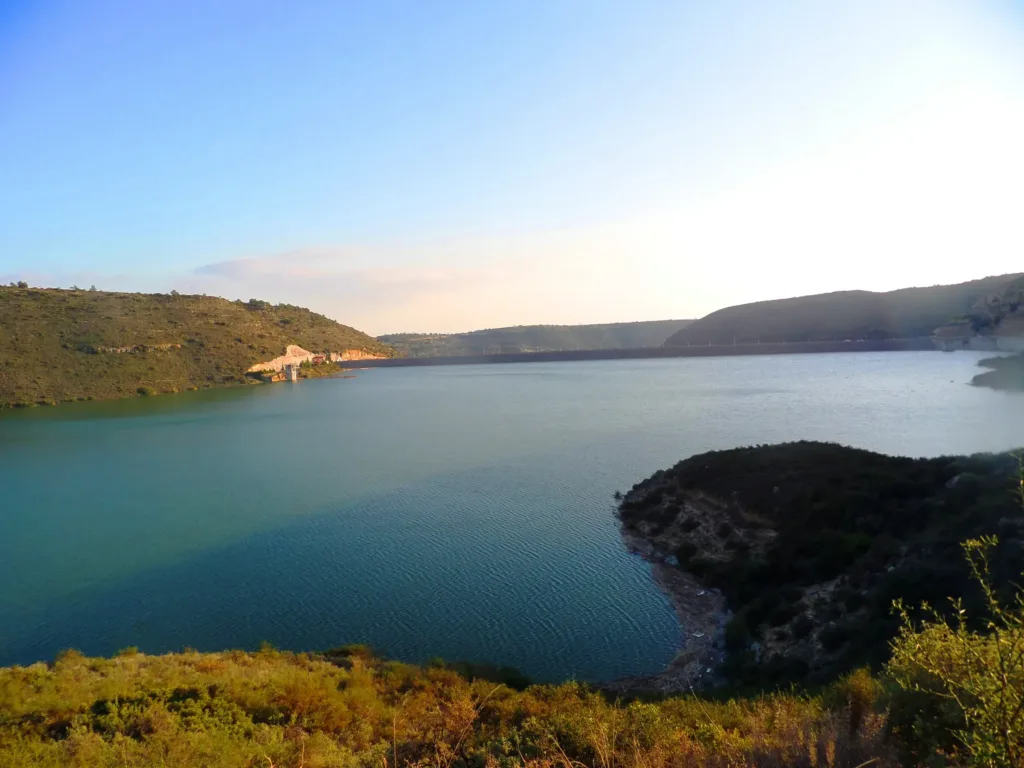 EOA in Cyprus: District Local Government Organisations