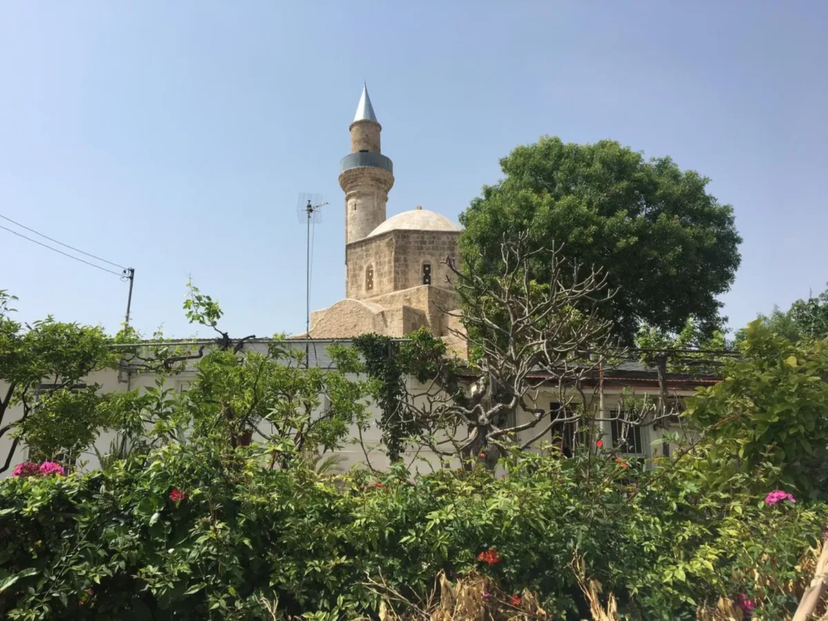 Το δημοτικό συμβούλιο Πάφου ψηφίζει υπέρ της μετονομασίας της οδού Κεμάλ Ατατούρκ σε οδό Μνήμης και Ελπίδας