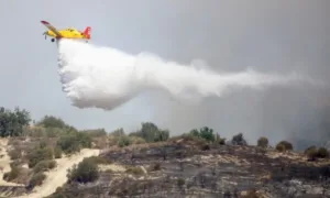 Fire near Tala burns vegetation and trees as terrain and winds hamper response