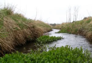 Limassol EOA: вода в реке Гариллис поступает с опреснительной установки, а не из канализации