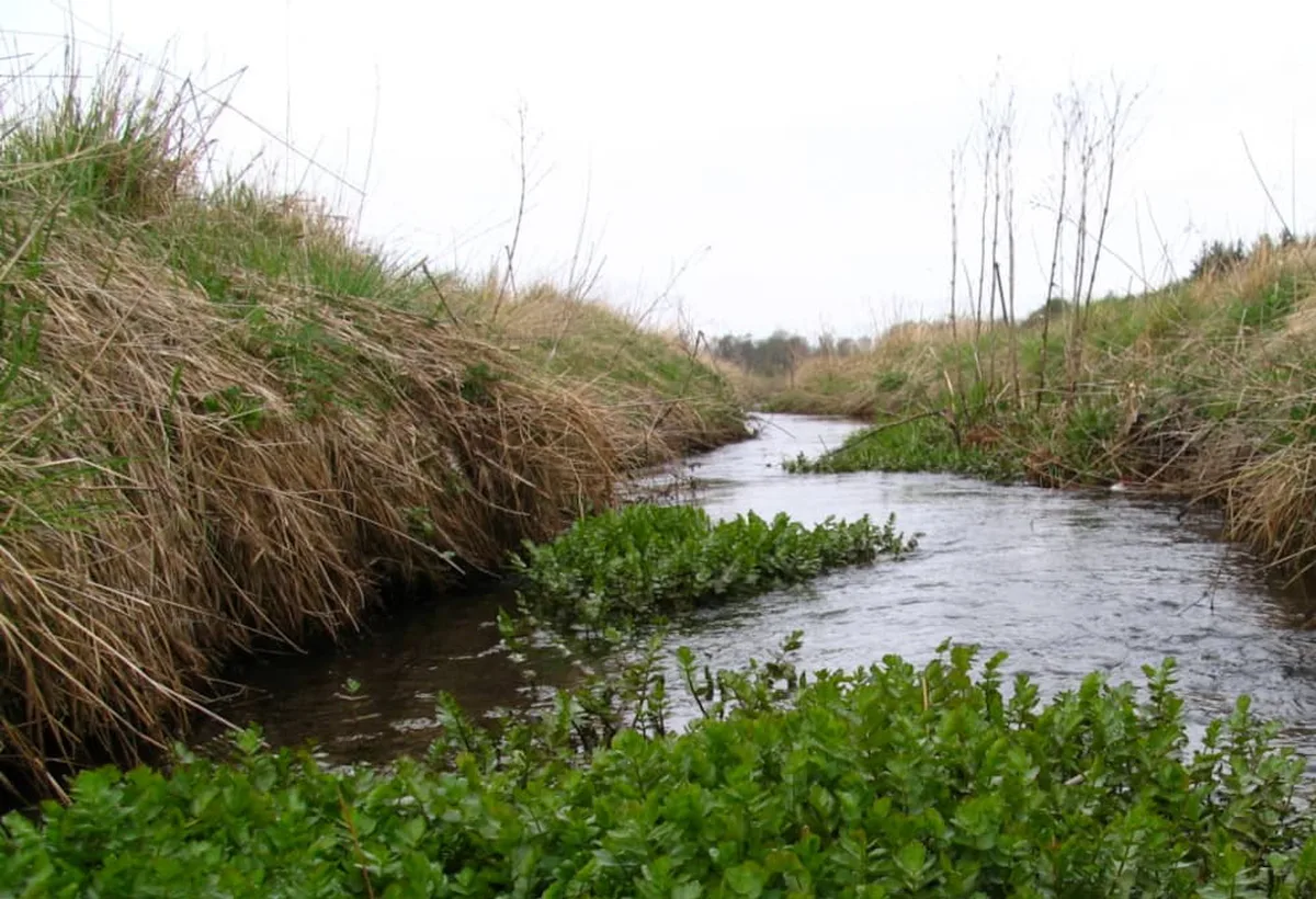 Limassol EOA says Garyllis river water comes from desalination plant, not sewage