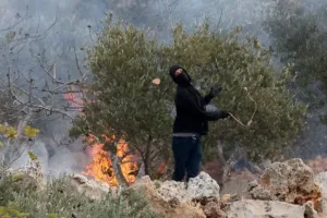 Ισραηλινοί έποικοι επιτίθενται κατά την ελαιοσυγκομιδή σε χωριό της Δυτικής Όχθης, τραυματίζοντας τουλάχιστον δύο ανθρώπους